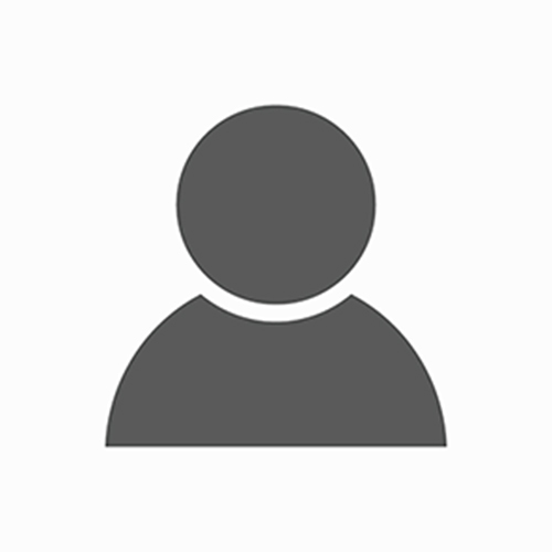 أمين الصندوق